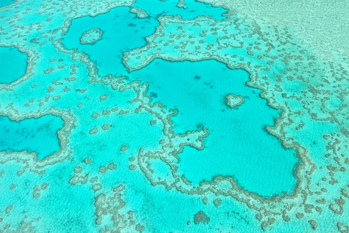 A sky view of a coral reef