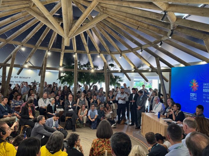 A room full of people sat under wooden beams. Taken in the Blue Zone at COP16.