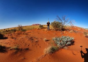 MEE Live! Using the pannotator R package for rapid ecological data collection from 360-degree images